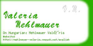 valeria mehlmauer business card
